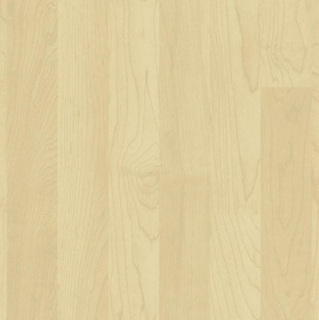 WOOD LIGHT MAPLE