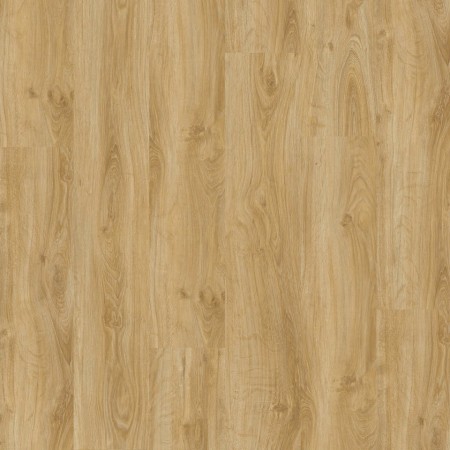 INSP.30 - 24524008 ENGLISH OAK CLASSICAL