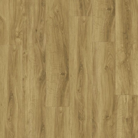 INSP.30 - 24524010 ENGLISH OAK NATURAL