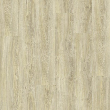 INSP.30 - 24524012 ENGLISH OAK GREGE