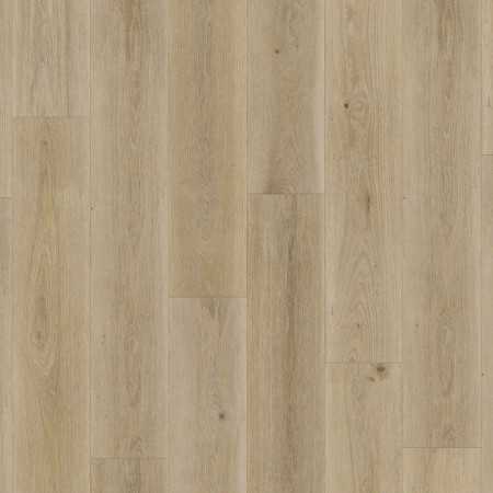 INSP.55 - 24513091 HIGHLAND OAK GOLDEN