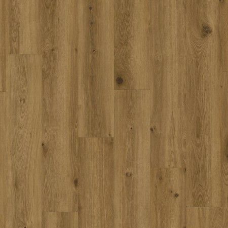 INSP.55 - 24513043 CREEK OAK BROWN