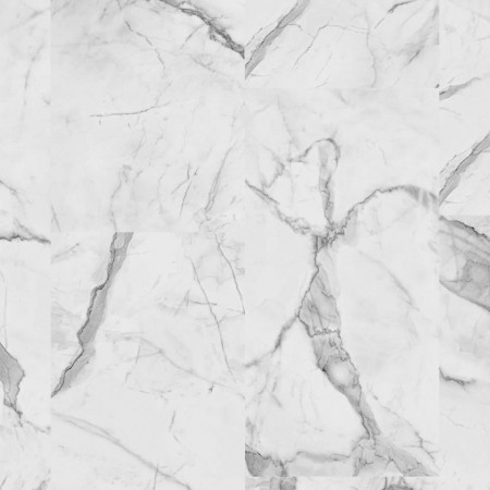 INSP.55 - 24522044  CARRARA GRANDE WHITE